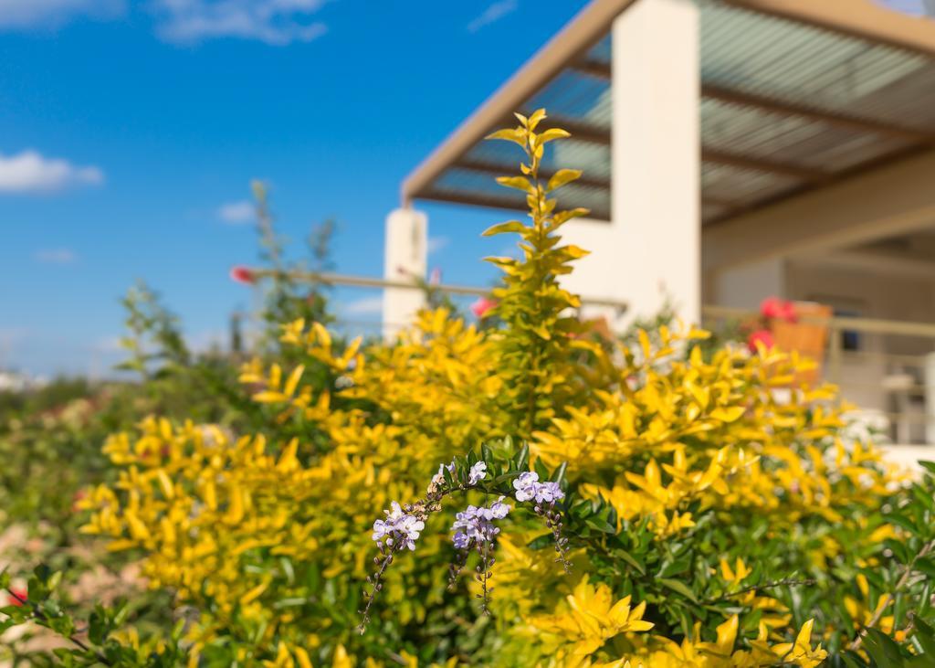 Legrena Beach Villa Сунион Экстерьер фото
